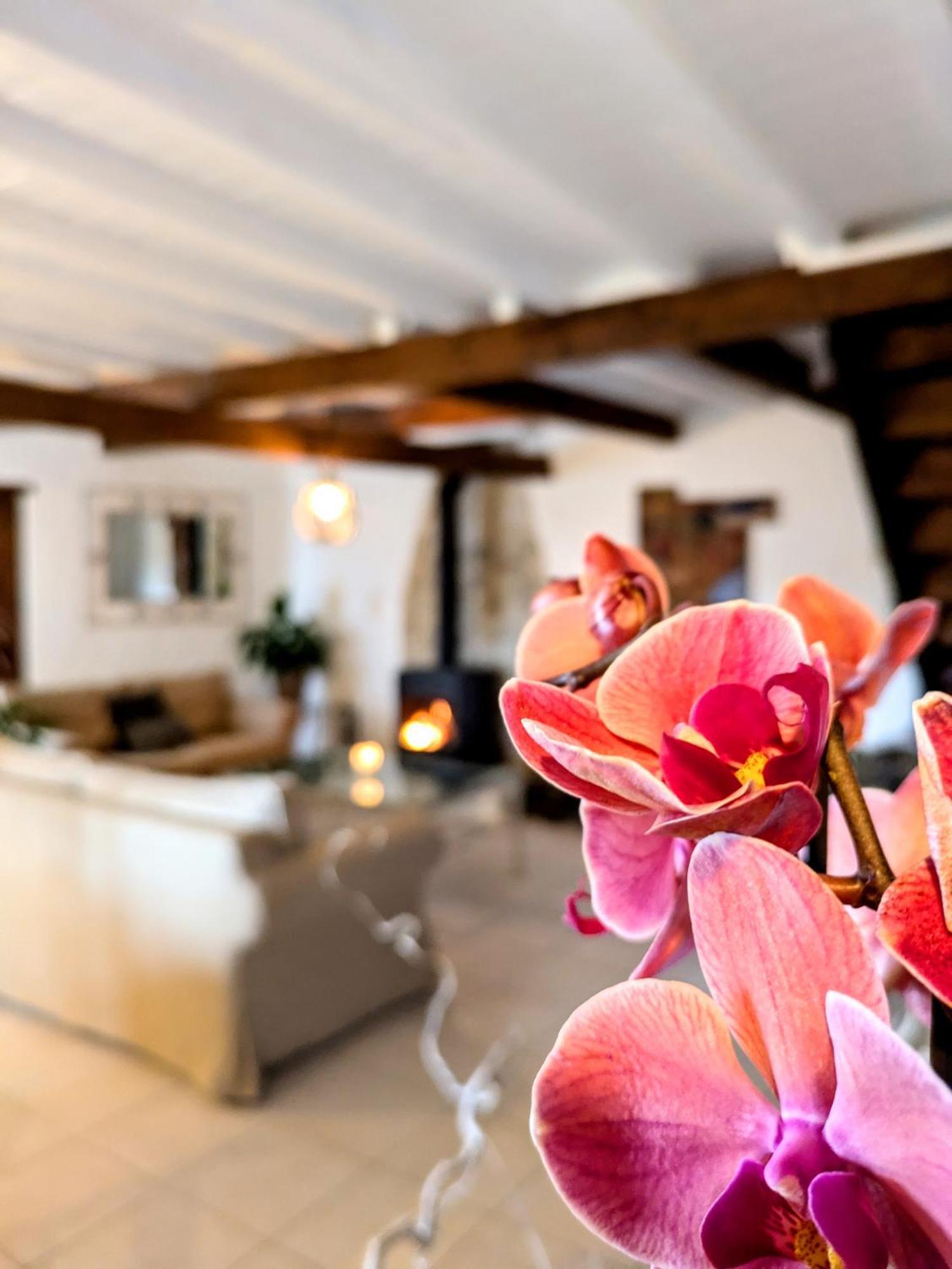 Domaine De Palats Guest House Laure-Minervois Room photo