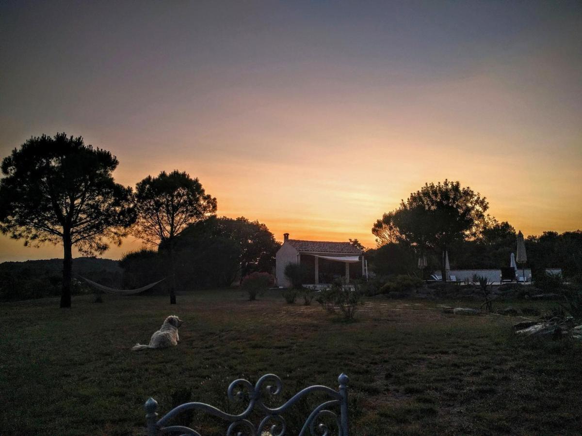 Domaine De Palats Guest House Laure-Minervois Exterior photo